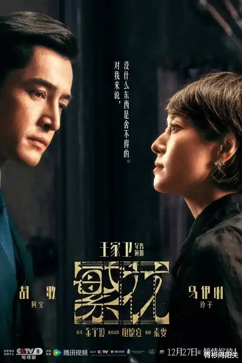 年度复核工作记录，片目字段对照表